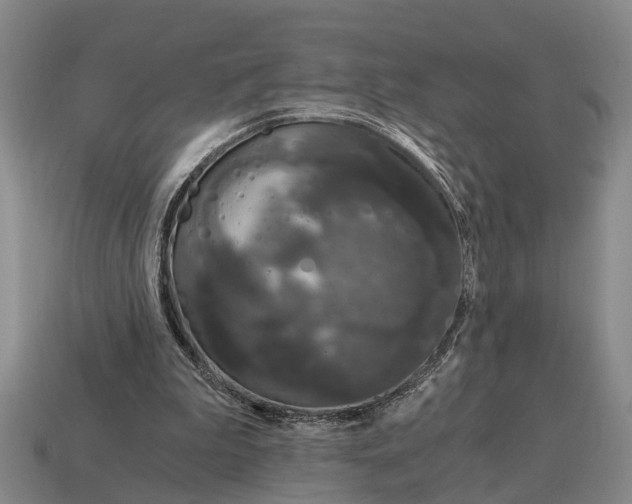 X0000115080199200911101510