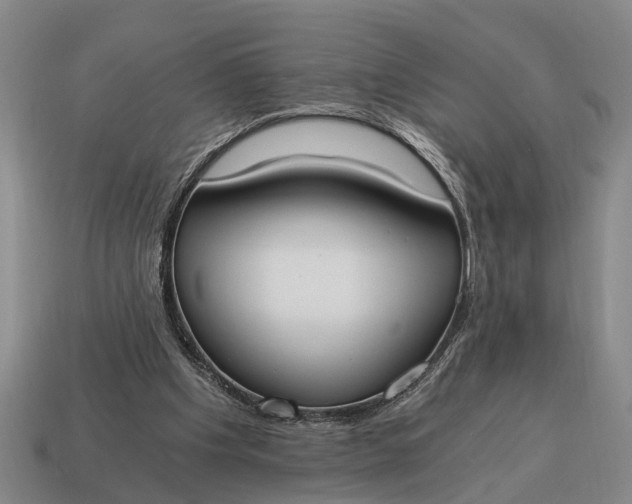 X0000115080201200911101510