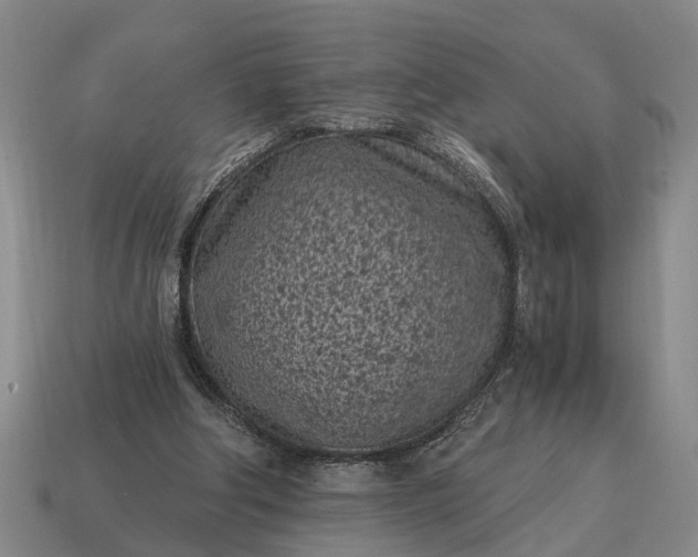 X0000115080202200911101510