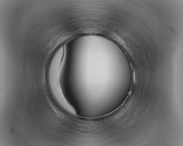 X0000115080205200911101510