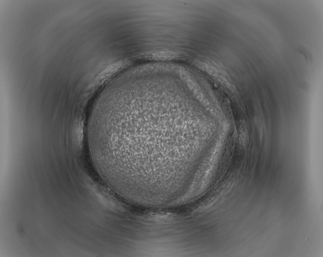 X0000115080206200911101510