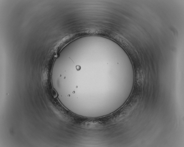 X0000115080208200911101509