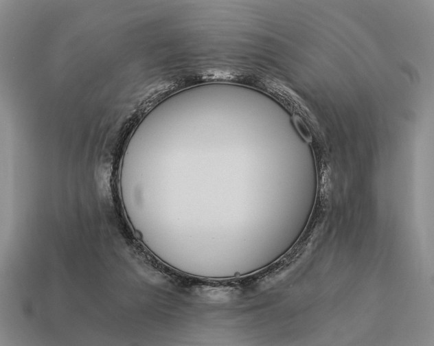 X0000115080209200911101509