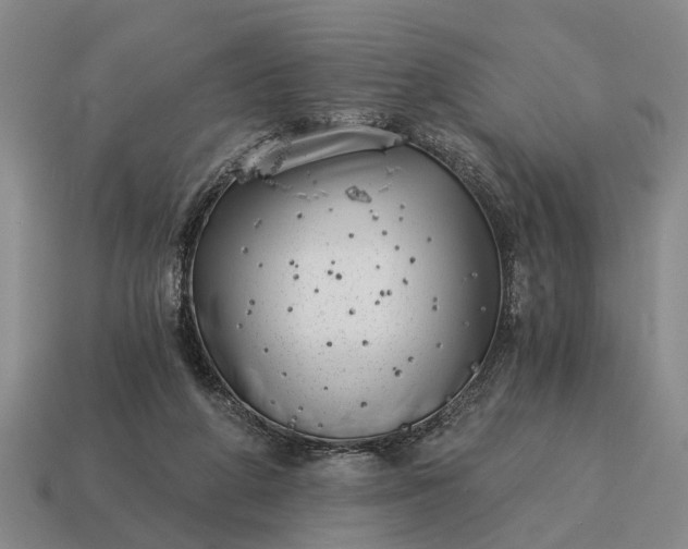 X0000115080210200911101509