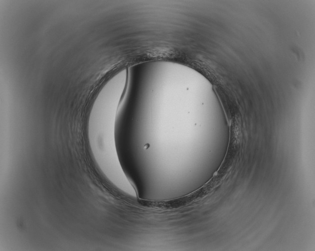 X0000115080211200911101509