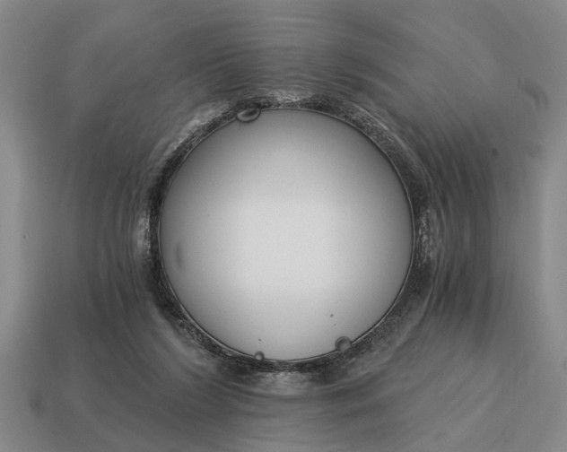 X0000115080212200911101509