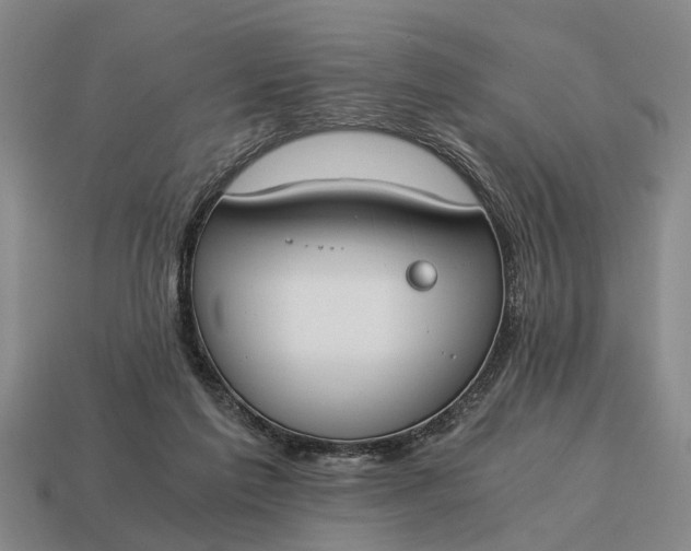 X0000115080213200911101509