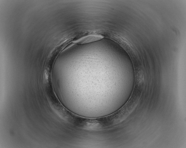 X0000115080214200911101509
