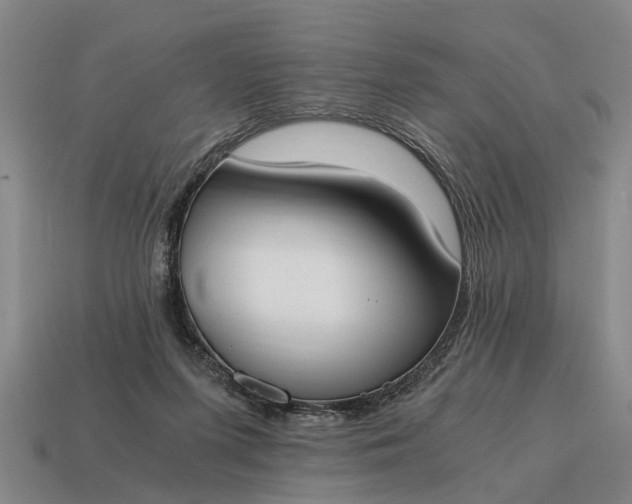 X0000115080215200911101509