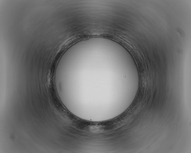 X0000115080216200911101509