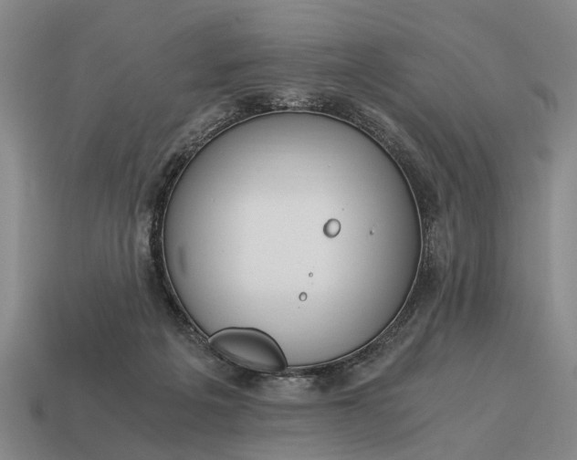 X0000115080217200911101509