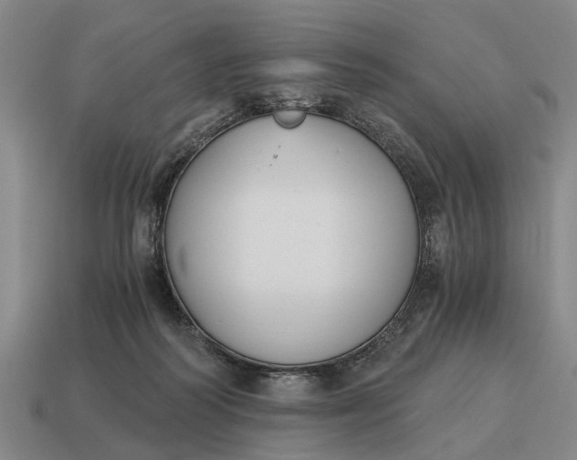 X0000115080218200911101509