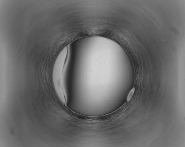 X0000115080219200911101509