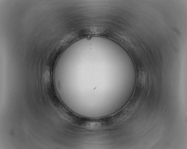 X0000115080220200911101509