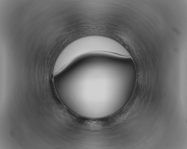 X0000115080221200911101509