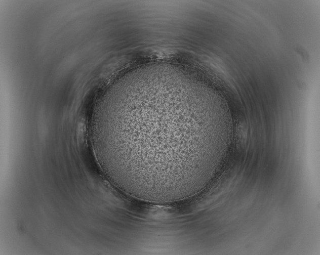 X0000115080222200911101509