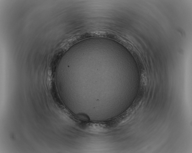 X0000115080223200911101509