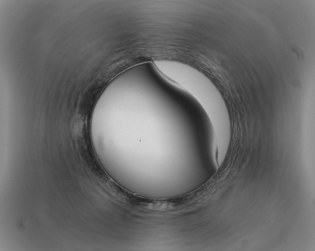 X0000115080225200911101509