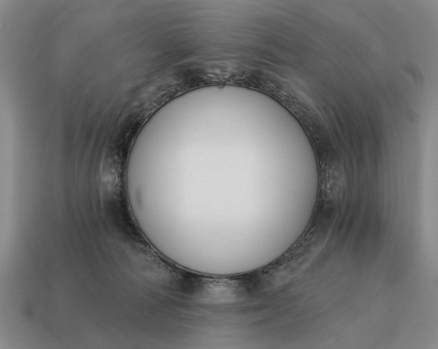 X0000115080226200911101509