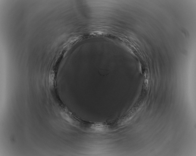 X0000115080231200911101509