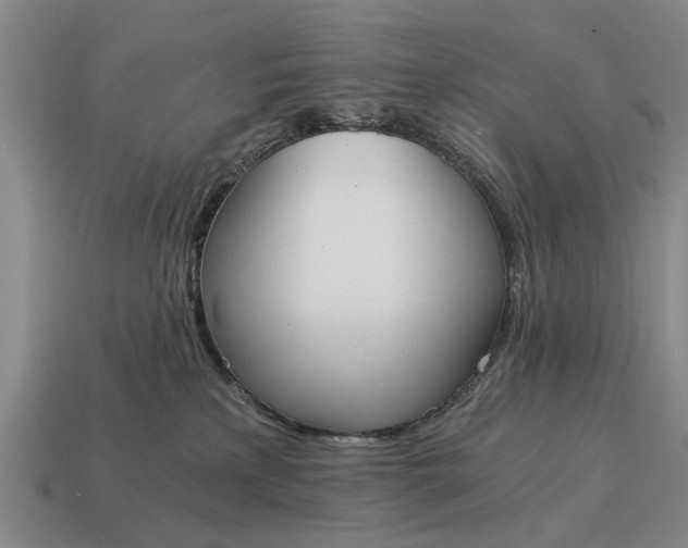 X0000115080233200911101509
