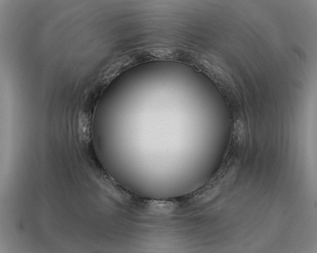 X0000115080234200911101509