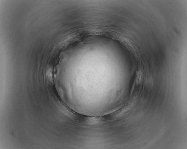 X0000115080238200911101509