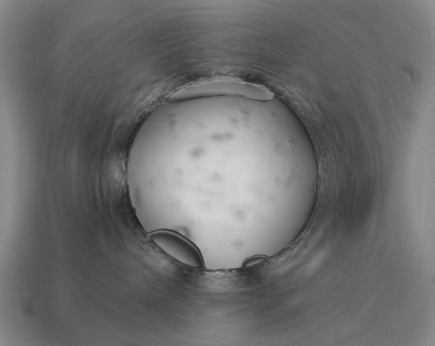 X0000115080240200911101509