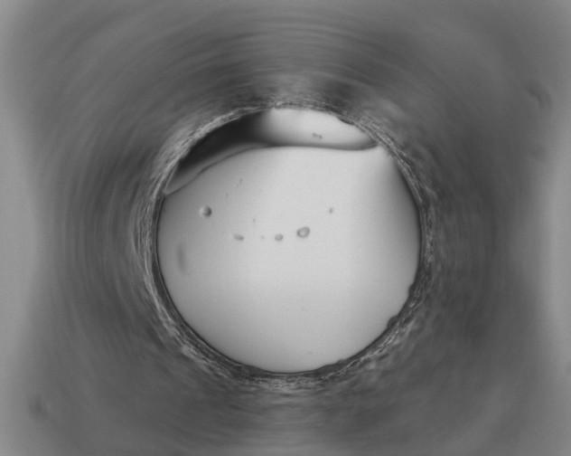 X0000115080241200911101508