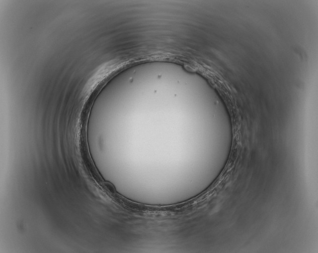 X0000115080242200911101508