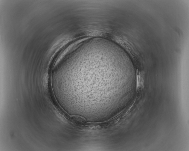 X0000115080243200911101508