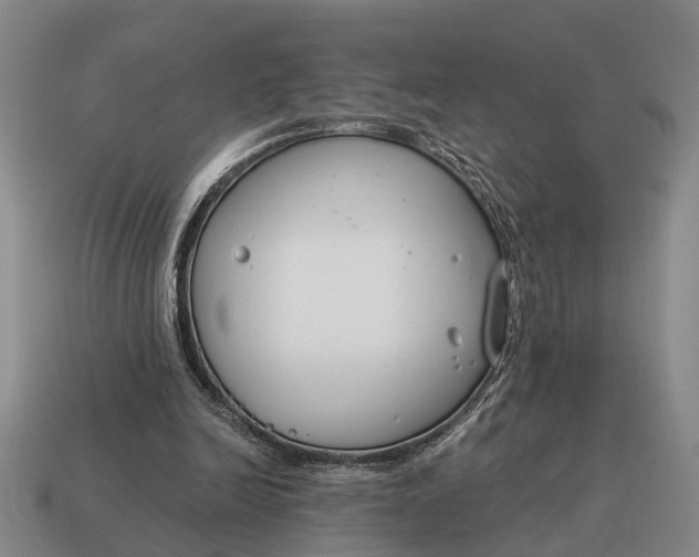 X0000115080246200911101509