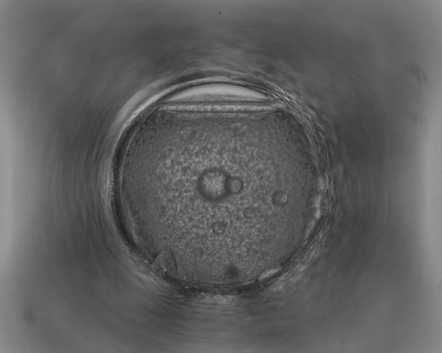 X0000115080247200911101509