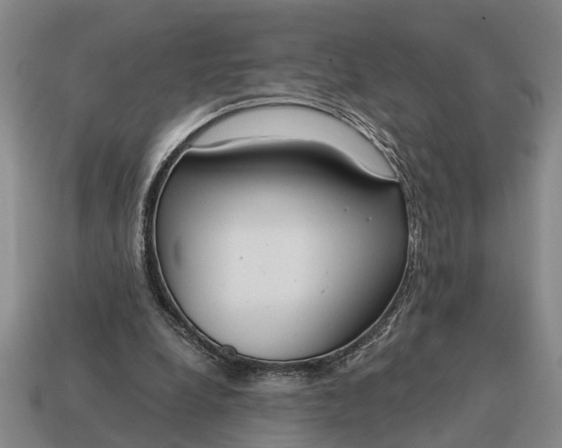 X0000115080248200911101509