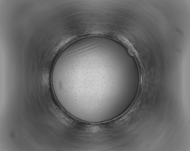 X0000115080249200911101509