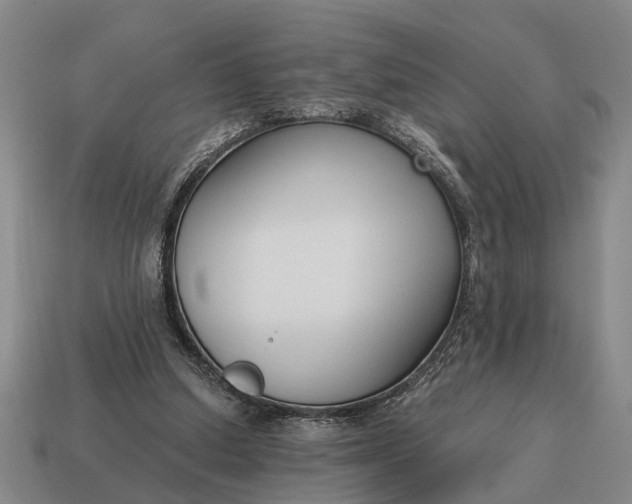 X0000115080250200911101509