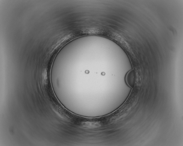 X0000115080251200911101509