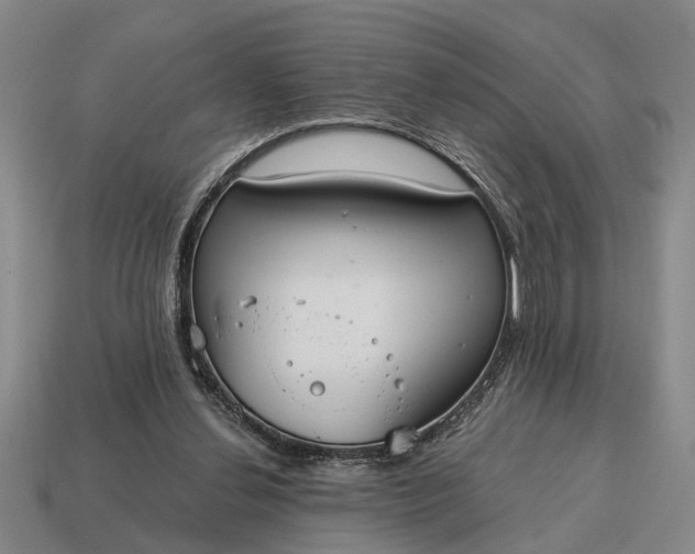 X0000115080252200911101509