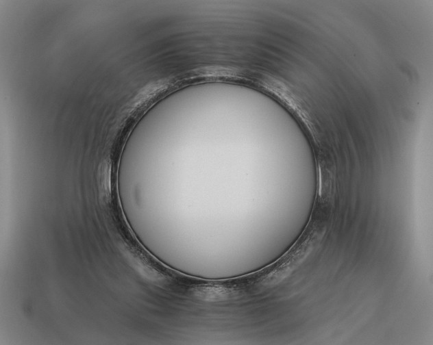 X0000115080253200911101509