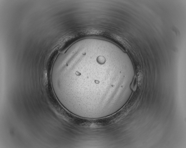 X0000115080254200911101509