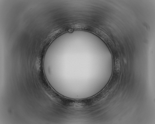 X0000115080255200911101509