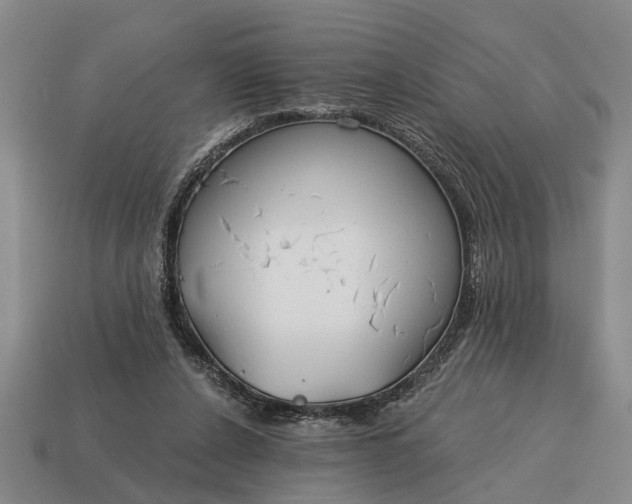 X0000115080256200911101509