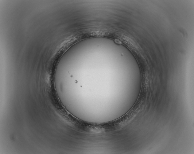 X0000115080258200911101509