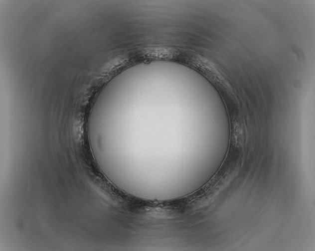 X0000115080259200911101509