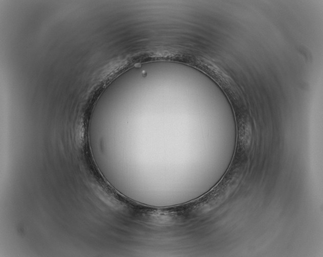 X0000115080261200911101509