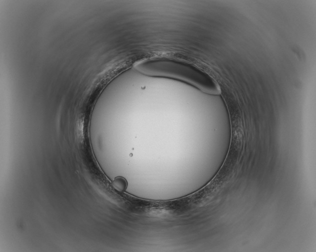 X0000115080262200911101509