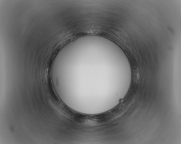 X0000115080263200911101509