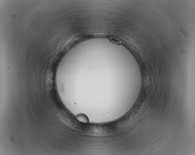 X0000115080264200911101509