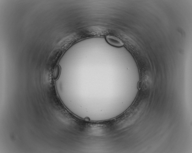 X0000115080268200911101509