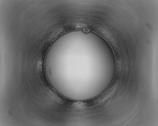 X0000115080269200911101509